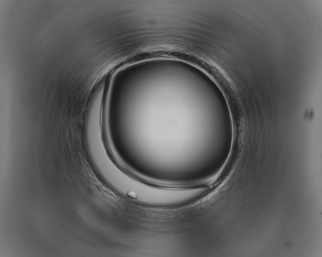 X0000090610921200707311219