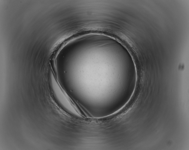 X0000090610922200707311219