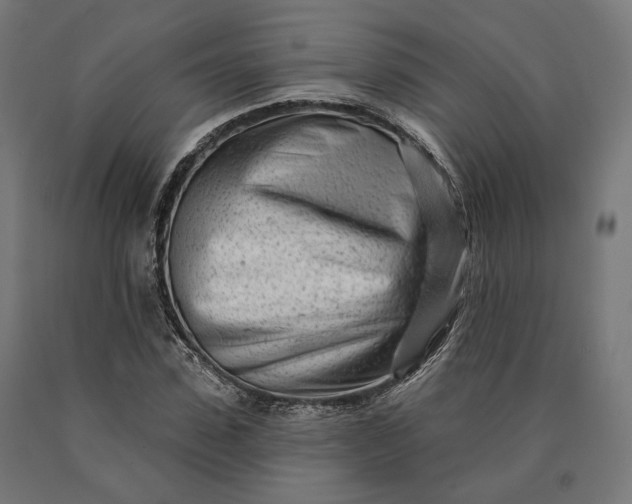 X0000090610923200707311219