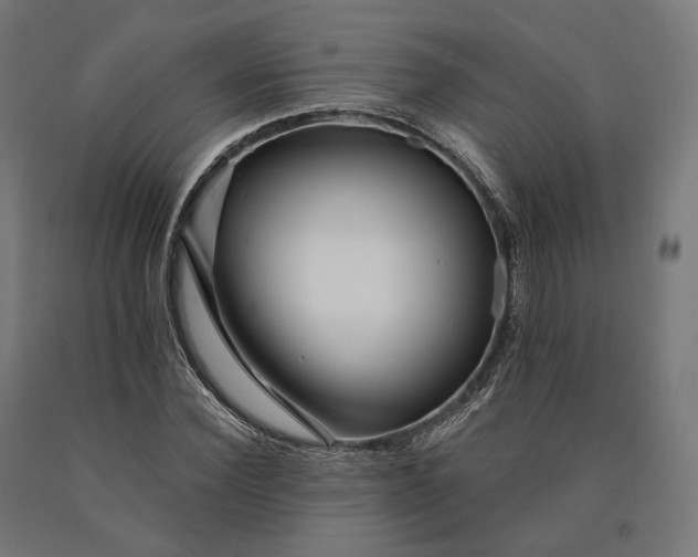 X0000090610924200707311219