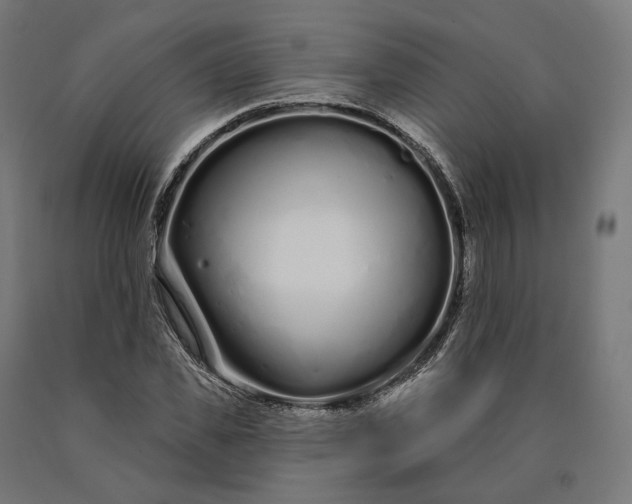 X0000090610925200707311219