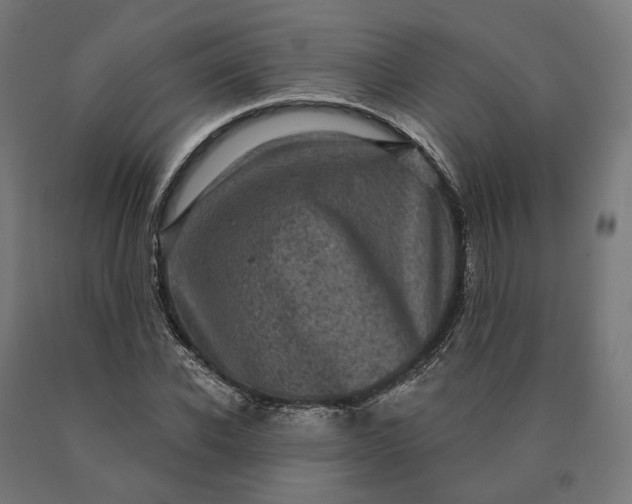 X0000090610926200707311219