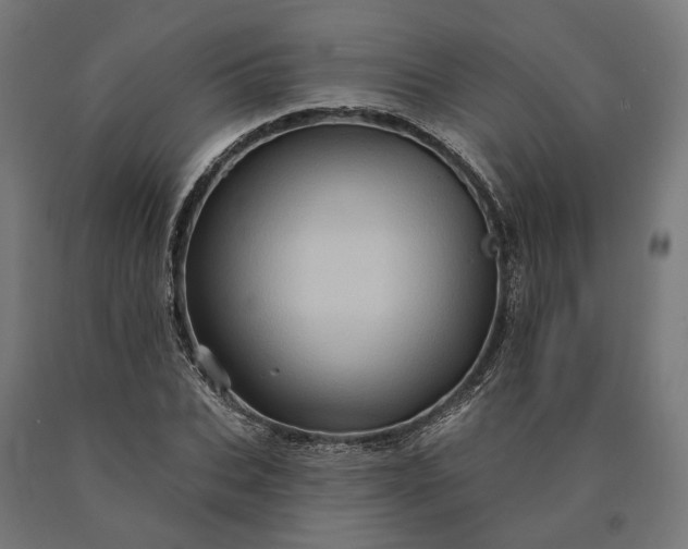 X0000090610927200707311219