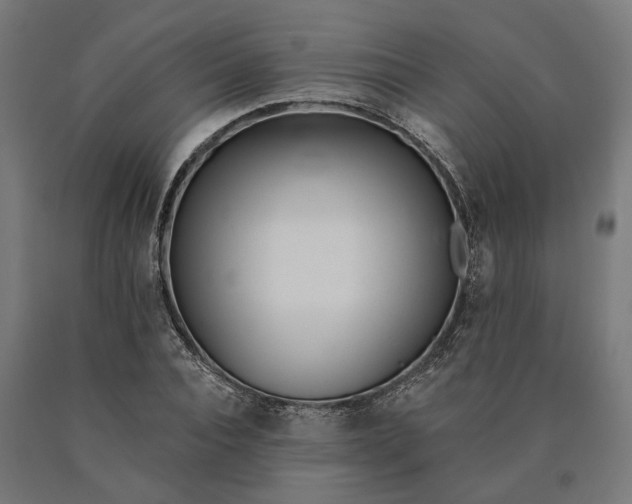 X0000090610928200707311219