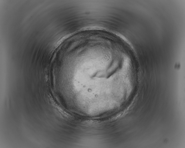 X0000090610929200707311219