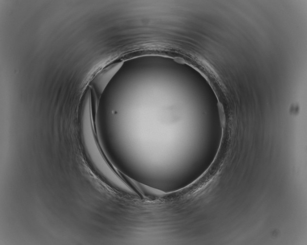 X0000090610930200707311219