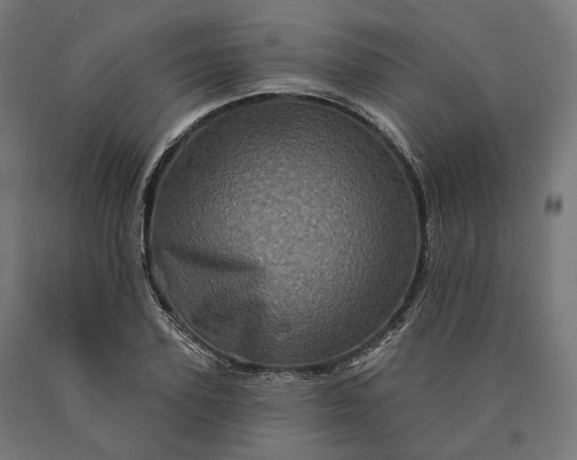 X0000090610931200707311219