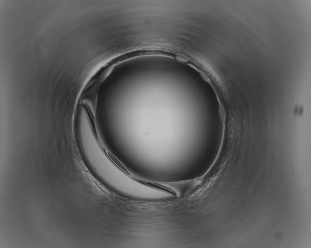 X0000090610932200707311219