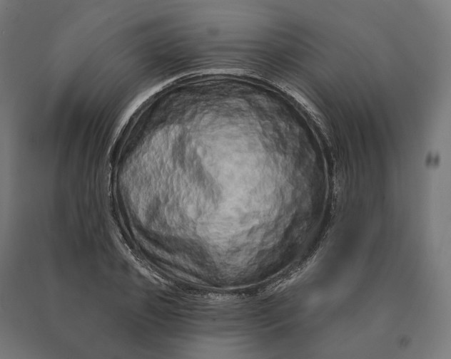 X0000090610933200707311219