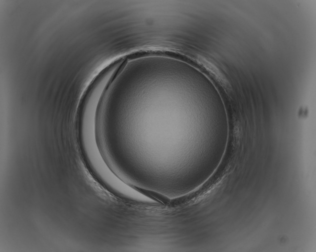 X0000090610934200707311219