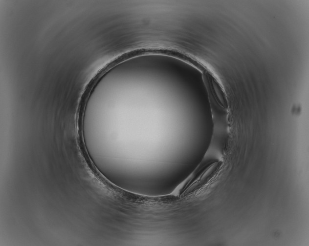 X0000090610935200707311219