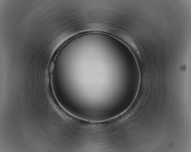 X0000090610936200707311219