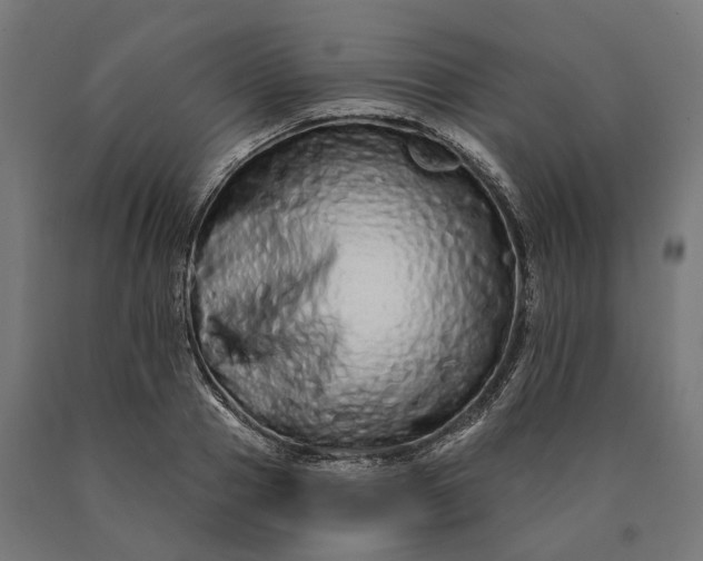 X0000090610937200707311219