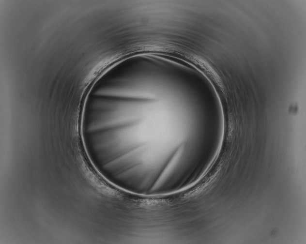 X0000090610938200707311219