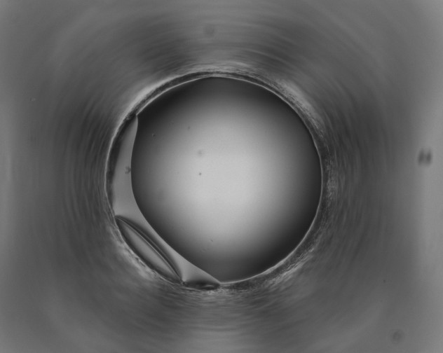 X0000090610940200707311219