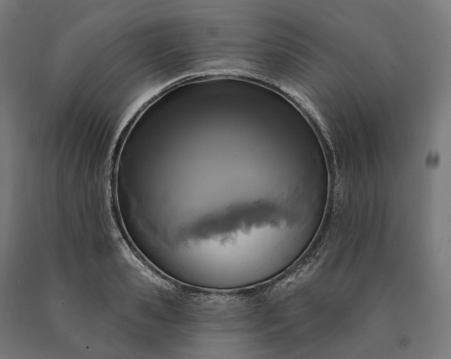 X0000090610941200707311219