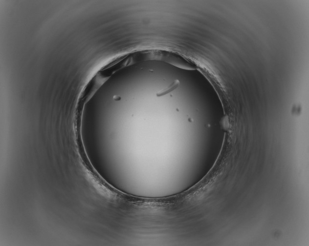 X0000090610942200707311219