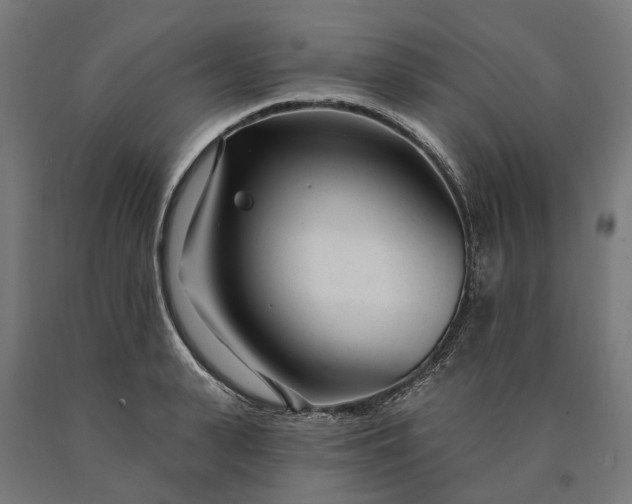 X0000090610943200707311219