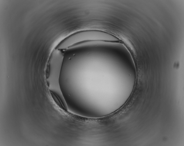 X0000090610944200707311219