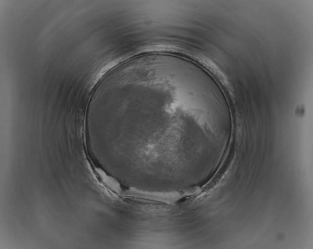 X0000090610945200707311219