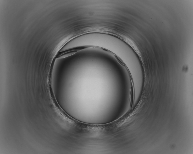 X0000090610946200707311219