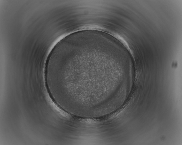 X0000090610947200707311219