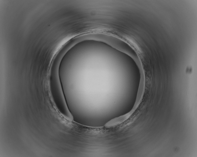 X0000090610948200707311219