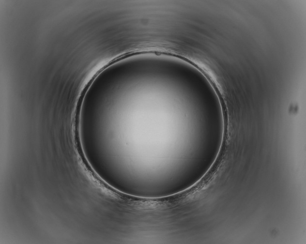 X0000090610949200707311219