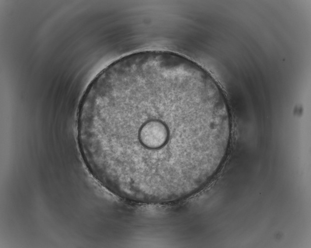 X0000090610950200707311220