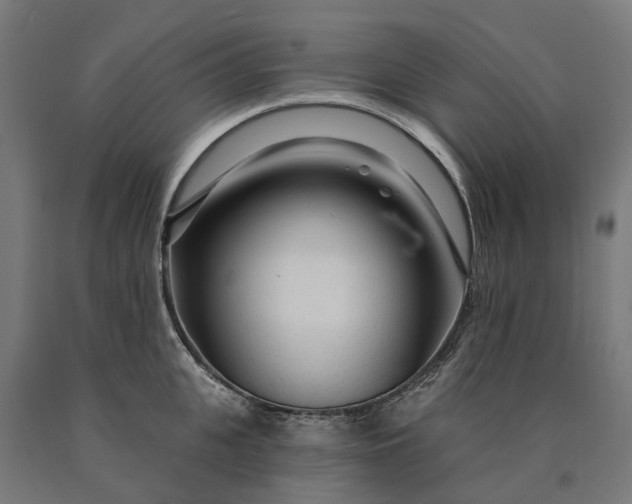 X0000090610951200707311220