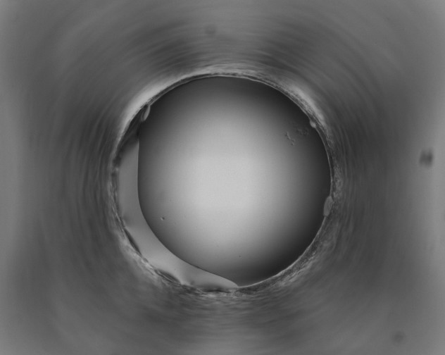 X0000090610952200707311220