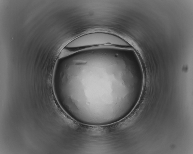 X0000090610953200707311220