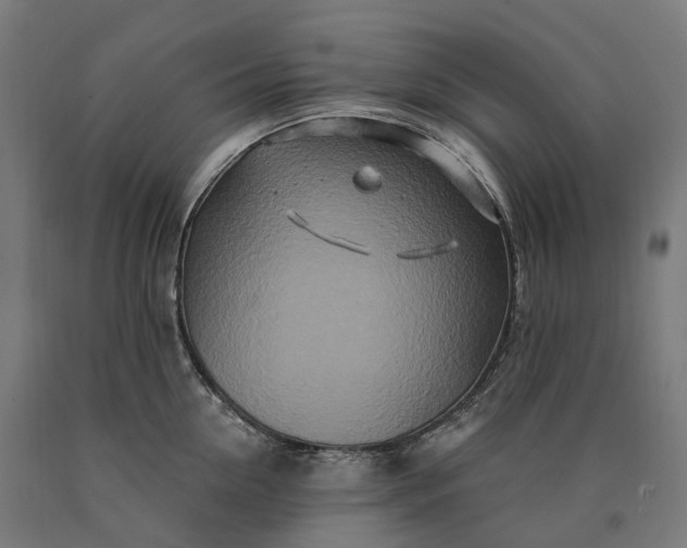 X0000090610954200707311220