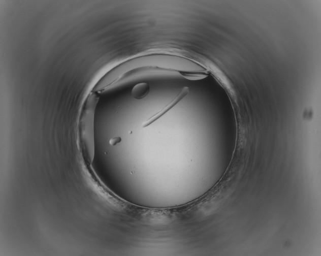 X0000090610955200707311220