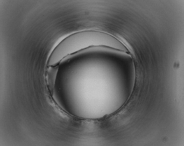 X0000090610956200707311220