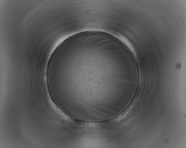 X0000090610958200707311220