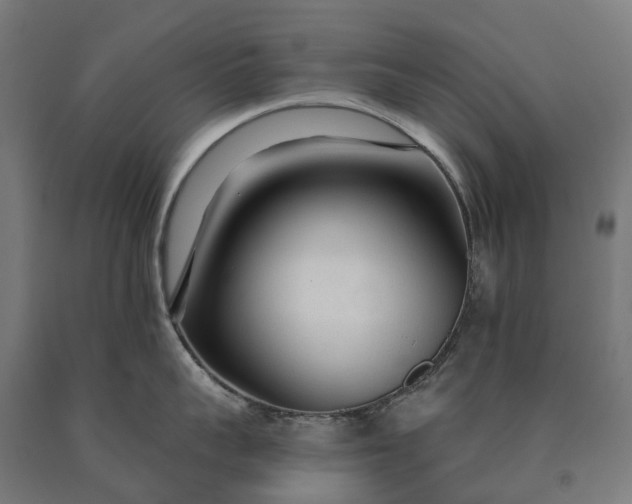 X0000090610959200707311220