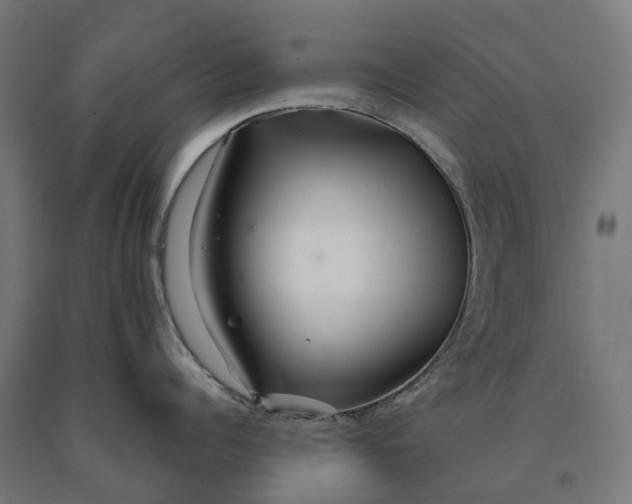 X0000090610960200707311220