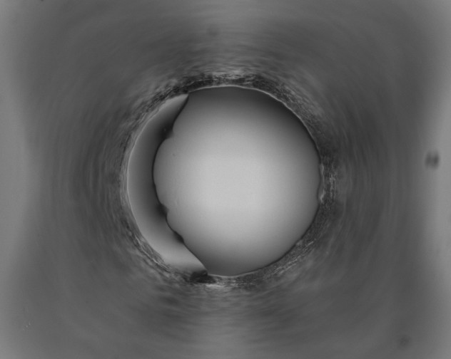 X0000090610961200707311219