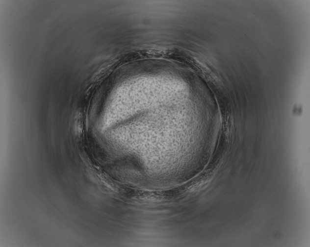 X0000090610962200707311219