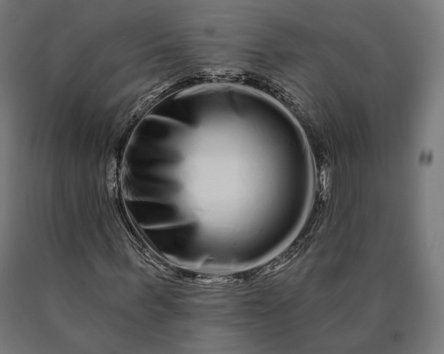 X0000090610963200707311219