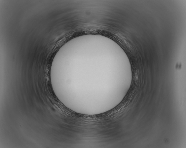 X0000090610964200707311219