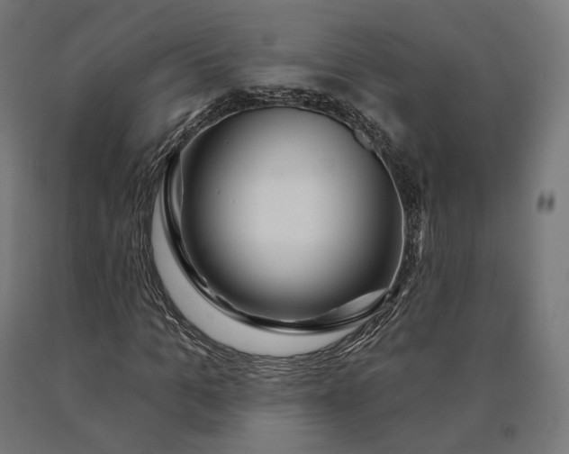 X0000090610965200707311219