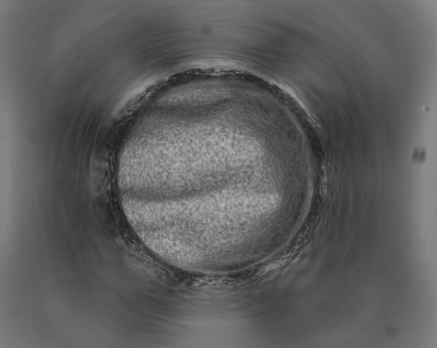 X0000090610967200707311219