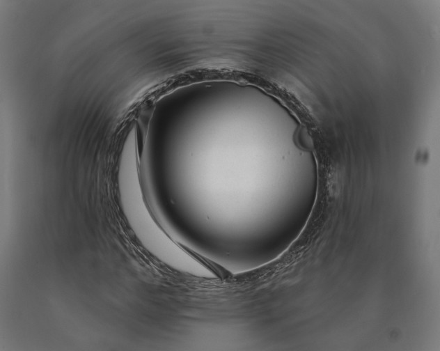 X0000090610968200707311219