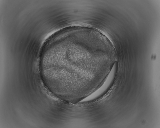 X0000090610971200707311219