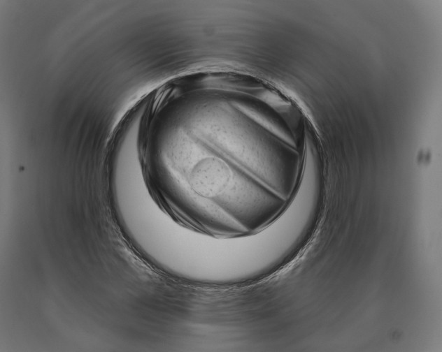 X0000090610973200707311219