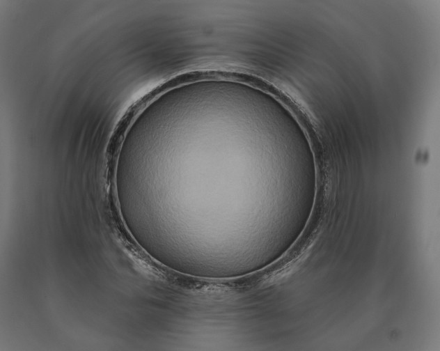 X0000090610974200707311219