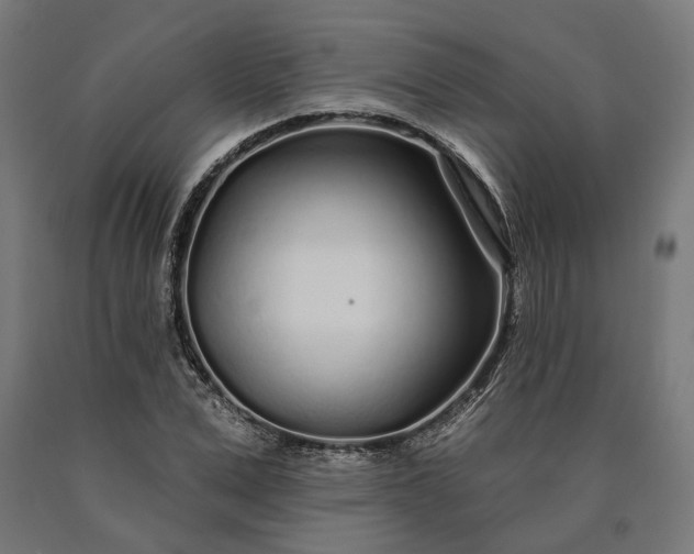 X0000090610975200707311219