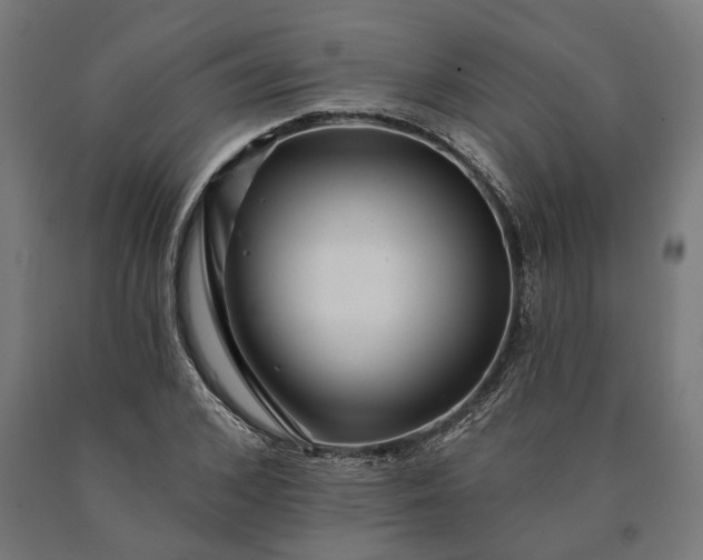 X0000090610976200707311219